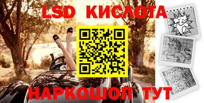 стаф Новокубанск