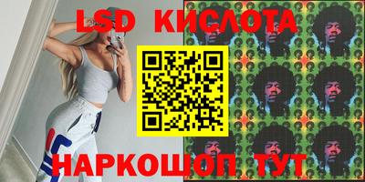 стаф Новокубанск