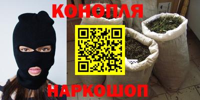 стаф Новокубанск