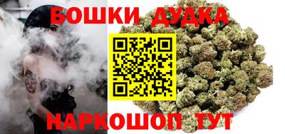 дмт Новодвинск