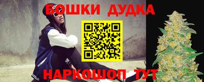 стаф Новокубанск