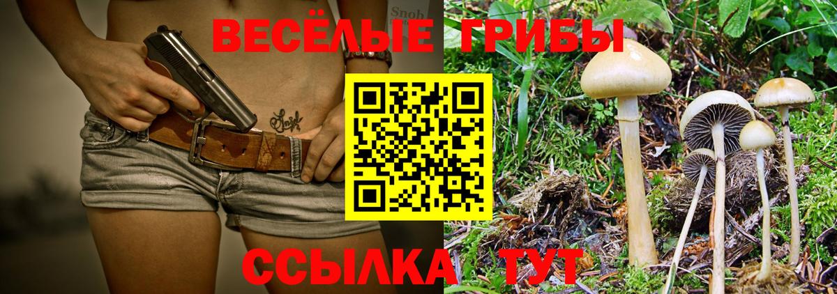 Галлюциногенные грибы MAGIC MUSHROOMS  Галлюциногенные грибы GOLDEN TEACHER  цена наркотик  Вход с VPN  Скопин 